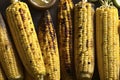 A stack of grilled corns Royalty Free Stock Photo