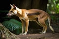 AI generated image of a Tasmanian Tiger