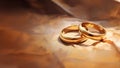 Two gold wedding rings on a fabric with copy space Royalty Free Stock Photo