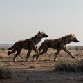 AI generated image of two hyenas in running mode