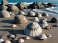 AI generated image of a variety of sea shells on a sea beach