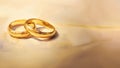 Wedding rings on a fabric background close-up with copy space Royalty Free Stock Photo