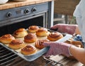 Newly baked cinnamon buns straight from the oven