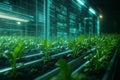 AI generated indoor smart farming scene with glowing digital interface showing data driven plant growth system environmental Royalty Free Stock Photo