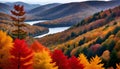 a lake is in the background with colorful trees on background Royalty Free Stock Photo