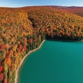 AI generated landscape adorned by dense pine forest in autumn all along the banks of a blue turquoise lake Royalty Free Stock Photo