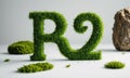 A green grassy letter R is sitting on a white surface.