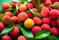 Lychee, concept of fresh and ripe exotic food