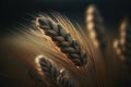 AI generated macro photography of wheat on field