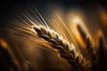 AI generated macro photography of wheat on field