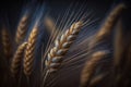 AI generated macro photography of wheat on field