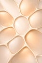 Elegant Ivory Voronoi Pattern With Soft Minimal Forms And Smooth Light Royalty Free Stock Photo