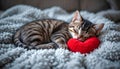 Sleeping Kitten Hugging Red Heart Pillow On Minimal Soft Blanket Background Royalty Free Stock Photo
