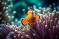 AI generated orange clownfish is swimming between the colorful tentacles of a sea