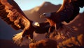 Majestic Bald Eagle Descending into Natural Habitat at Golden Hour, Hyperrealistic 3D Render Made with Generative AI Royalty Free Stock Photo