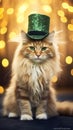 Tytu?: Happy St. Paddy's Day. St. Patrick's day banner with mainecoon cat, shamrock, hat