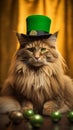 Tytu?: Happy St. Paddy's Day. St. Patrick's day banner with mainecoon cat, shamrock, hat