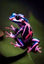 AI generated Poison dart frog on a green leaf Royalty Free Stock Photo