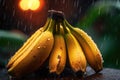 close-up of a bananas with rain drops on blurred background