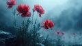 Red poppies under a somber, rainy sky.