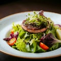 AI Generated: Salad with Cooked Patty, Lettuce, Cherry Tomatoes, and Balsamic Dressing Royalty Free Stock Photo
