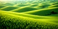 Vast Green Rolling Hills Under Soft Sunlight Creating Peaceful Landscape Of Endless Nature Royalty Free Stock Photo