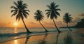 Four palm trees are lined up on the beach, with the sun setting in the background. Royalty Free Stock Photo