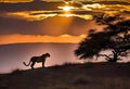 AI generated silhouetted image of a leopard alongwith a tree with sun setting in the backdrop Royalty Free Stock Photo