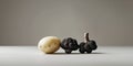 Simple image featuring a potato and a black truffle. Royalty Free Stock Photo