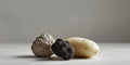 Simple image featuring a potato and a black truffle Royalty Free Stock Photo