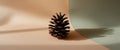 A Single Pine Cone Casts a Shadow on Peach.