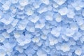 Soft Blue Hydrangea Flower Texture Creating Elegant Floral Background Pattern Royalty Free Stock Photo