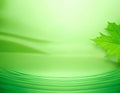 AI generated,Soft green gradient background. maple leaf\'s pattern background. small water wave in bottom