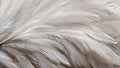 AI Generated Soft White Feathers Texture Background Closeup ai generated (ai generated) Royalty Free Stock Photo