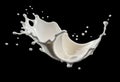 a splash of milk is isolated on a black background Royalty Free Stock Photo