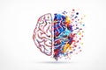 AI generated split human brain with grayscale analytical side and colorful paint splash creative side symbolizing balance of logic Royalty Free Stock Photo