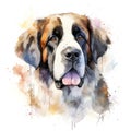 Dog_St_Bernard_Serenity_Watercolor5