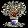 Money tree in pot with dollars isolated on black background. 3d illustration Royalty Free Stock Photo