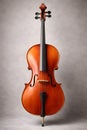 Elegant Classical Cello Isolated In Studio Expressing Emotion And Musical Depth Royalty Free Stock Photo
