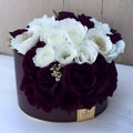 Ai generated a stunning and elegant purple and white flower arrangement in a sleek black box Royalty Free Stock Photo