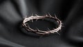 Thorny crown of thorns on dark background. Royalty Free Stock Photo