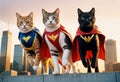 three cats dressed as super heroes Royalty Free Stock Photo