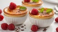 Three creme brulee servings, topped with raspberries, mint, and chocolate, in white ceramic ramekins. Royalty Free Stock Photo