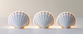 Three Scallops Shells Displayed In A Row Royalty Free Stock Photo