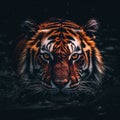 AI generated  tiger gazing intently into the camera Royalty Free Stock Photo