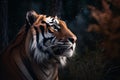 AI generated tiger standing in an outdoor setting at night