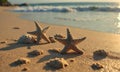 Two starfish are sitting on the beach, one on the left and one on the right. Royalty Free Stock Photo