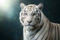 AI generated ultra realistic image of a white tiger standing gracefully in soft natural light symbolizing purity strength and Royalty Free Stock Photo