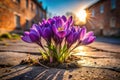 AI-generated, urban exploration photography unveils the hidden beauty of purple crocuses