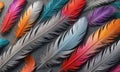A collection of colorful feathers are laid out on a table. Royalty Free Stock Photo
